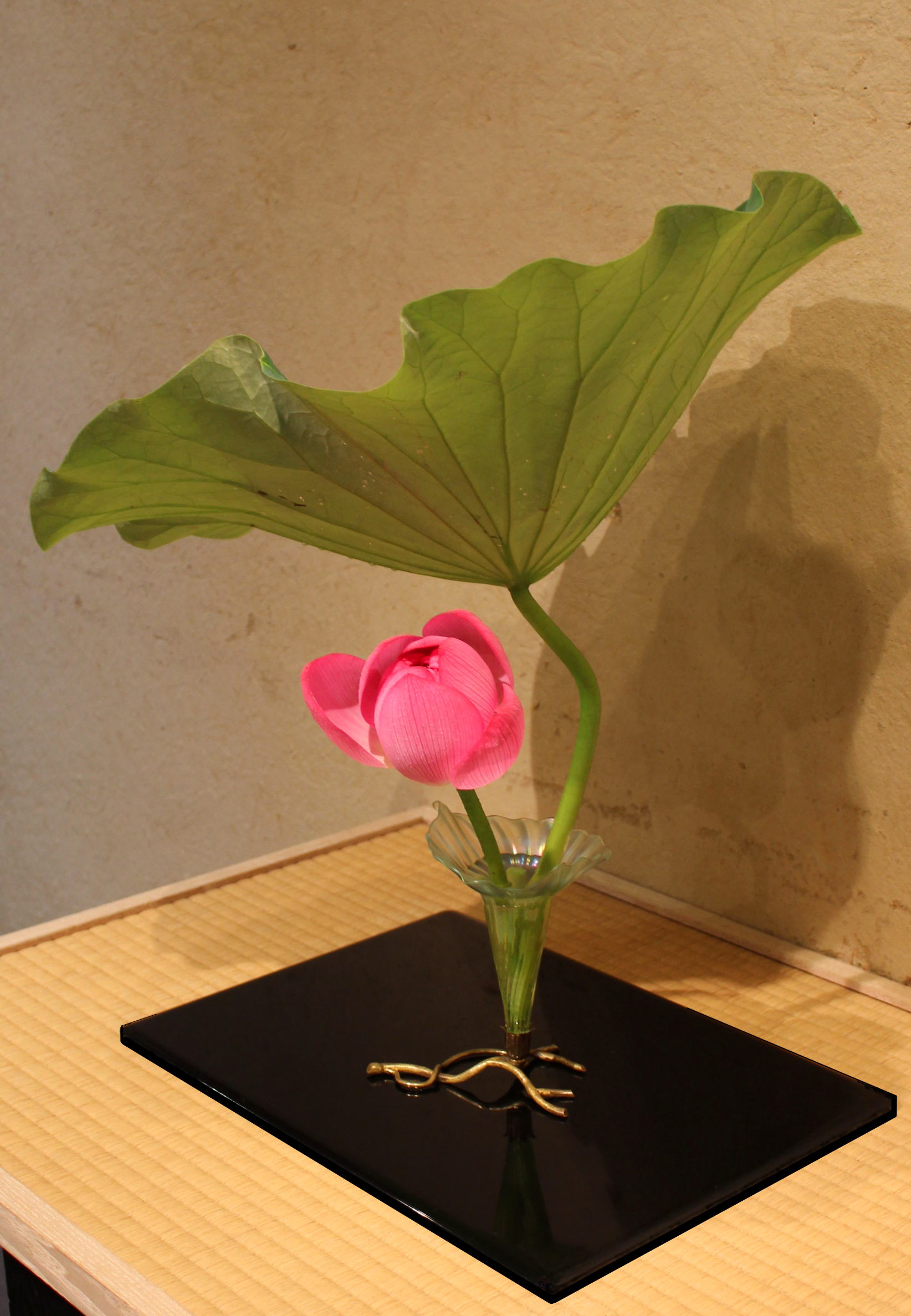 林田英子 草木花をいける なげいれ花十二ヶ月教室 草木花をいける 稽古帖 | 林田英子 なげいれ花十二ヶ月教室